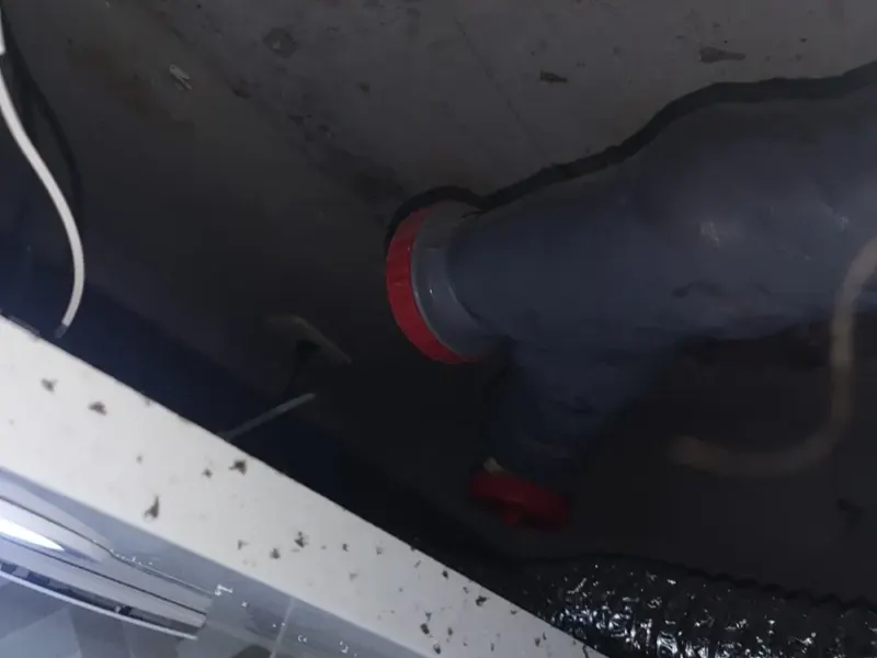 포항 하수구 냄새 원인과 집에서 먼저 할 일